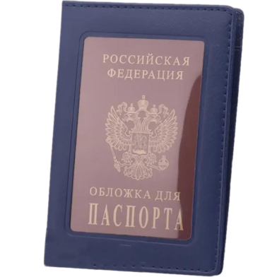 Transparent Passport Holder image