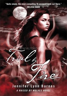 Trial by Fire: Book 2 image
