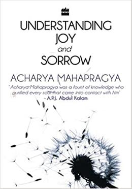 Understanding Joy and Sorrow image