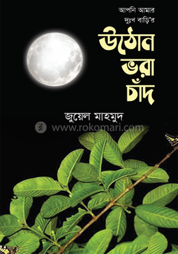 আপনি আমার দুঃখ বাড়ি’র উঠোন ভরা চাঁদ image