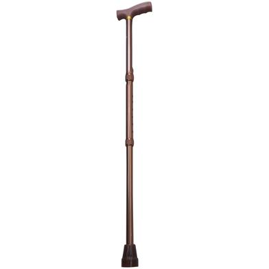 Walking Stick Size 29-37 Inch image