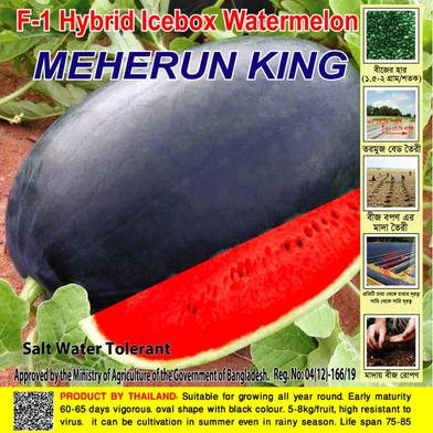 Naomi Seed Watermelon Meherun king - 1 gm image