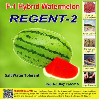 Naomi Seed Watermelon Regent-2 - 1 gm image