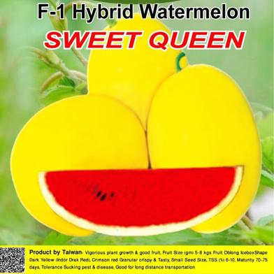 Naomi Seed Watermelon Sweet Queen - 1 gm image