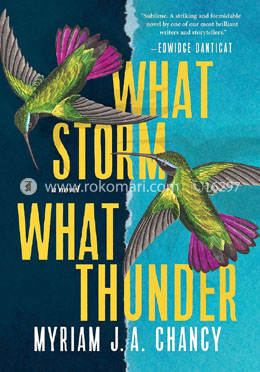 What Storm, What Thunder image