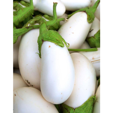 White Brinjal Seed image