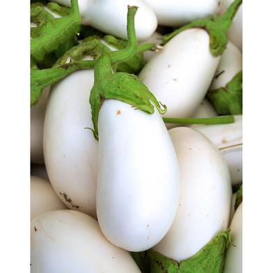 White Brinjal Seed image