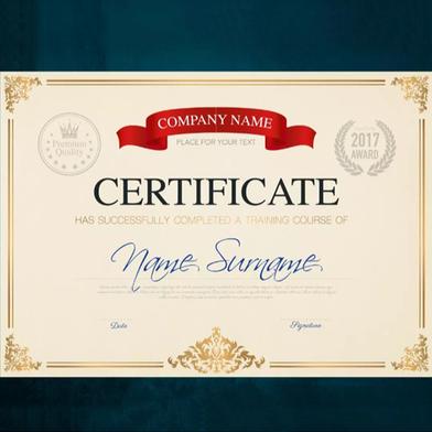 White Gold Certificate Paper- 10 Pcs image
