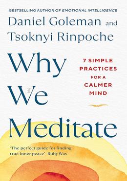 Why We Meditate image