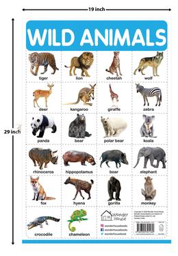 Wild Animals - My First Early Learning Wall Chart image