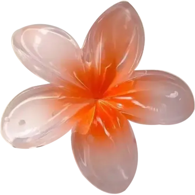Women Beach Vacation Bohemia Egg Flower Hair Clips Flower Large Hair image