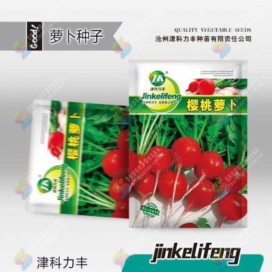  China Hybrid Beet Root Seeds image