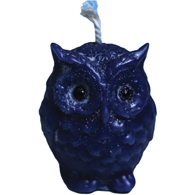  Owl Fragrance Candle- Blue image