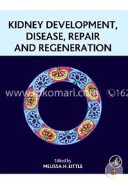 Kidney Development, Disease, Repair and Regeneration image