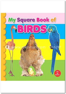 My Square Board Book: Birds image