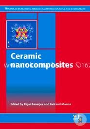 Ceramic Nanocomposites image