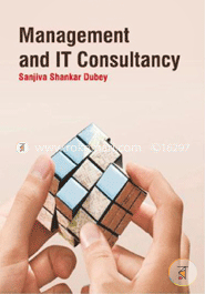 Management and IT Consultancy image