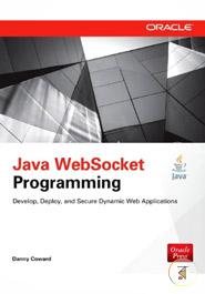 Java WebSocket Programming image