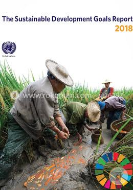 The sustainable development goals report 2018 image