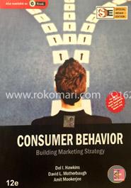 Consumer Behavior: Building Marketing Strategy image