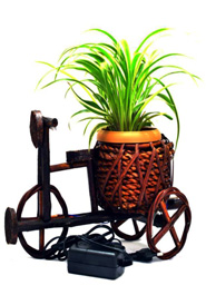 Ricksha Plant Tob With LED Light (Red) (PC-7206) image