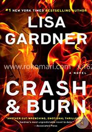 Crash and Burn image