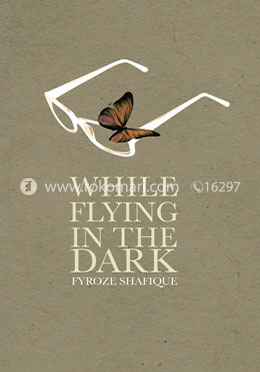 While Flying in The Dark image