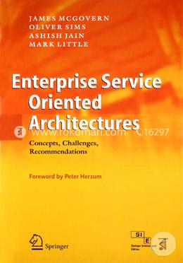 Enterprise Service Oriented Architectures image