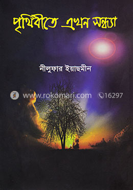 পৃথিবীতে এখন সন্ধ্যা image