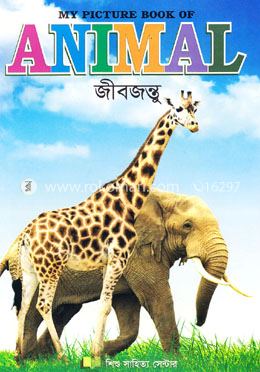 Animal image