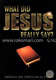 What Did Jesus Really Say image