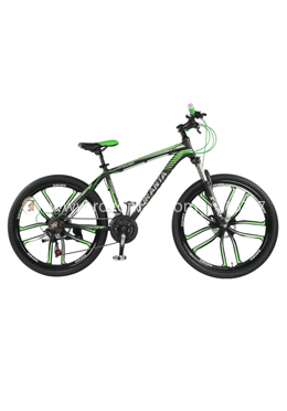 Duranta Allan Dynamic X-800 Multi Speed 26 Inch Cycle-Green color image