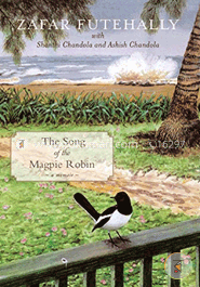 The Song Of The Magpie Robin image