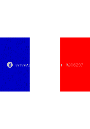 France NATIONAL Flag (5’ x 3’) (Made In China) 