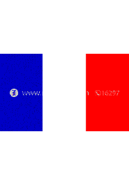 France NATIONAL Flag (5’ x 3’) (Local) image
