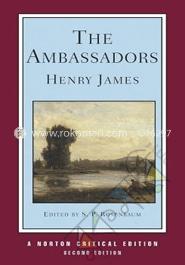 The Ambassadors image