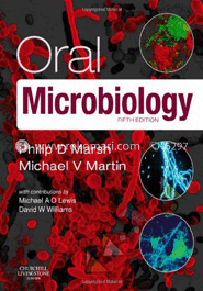 Oral Microbiology image