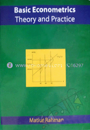 Basic Econometrics Theory and practice image
