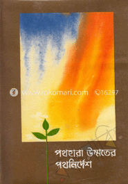 পথহারা উম্মতের পথনির্দেশ image