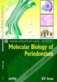 Molecular Biology of Periodontium (Paperback) image