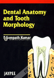 Dental Anatomy and Tooth Morphology (Paperback) image