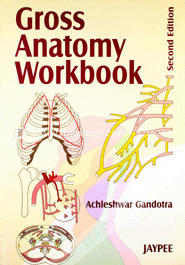 Gross Anatomy Workbook (Paperback) image