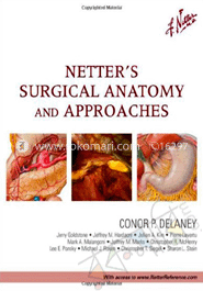 Netters Surgical Anatomy And Approaches image