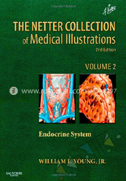 The Netter Collection Of Medical Illustrations: The Endocrine System: Volume 2 image