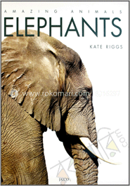 Elephants image