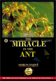 The Miracle In the Ant image