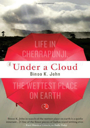 Under a Cloud image
