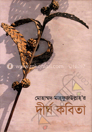 দীর্ঘ কবিতা 