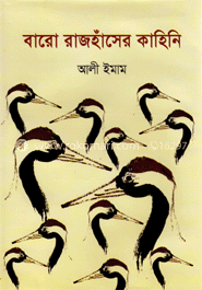 বারো রাজহাঁসের কাহিনি image
