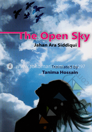 The Open Sky image